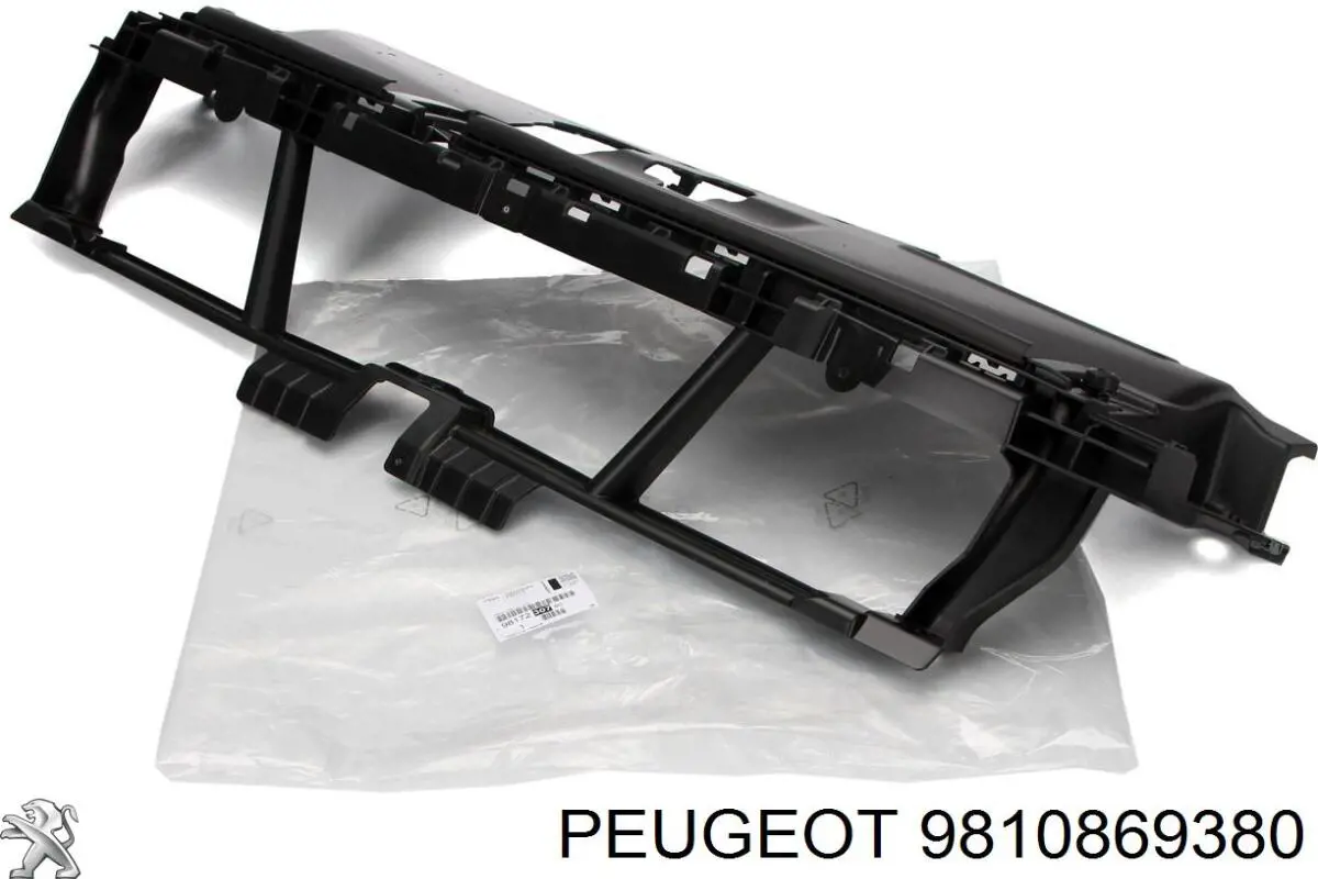  9810869380 Peugeot/Citroen