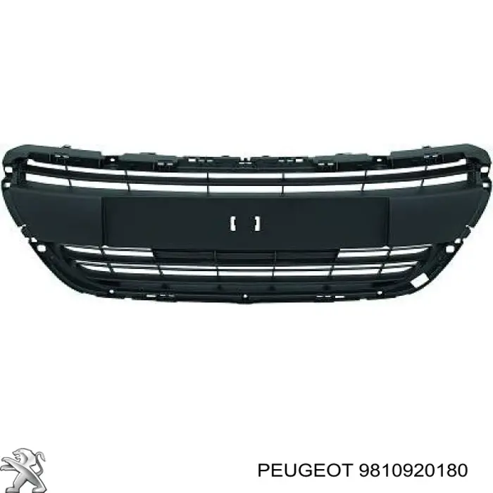 Comprar PG3282120 Prasco Rejilla frontal