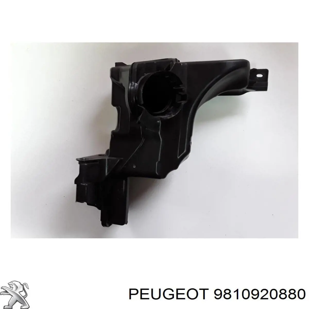 9810920880 Peugeot/Citroen Resonador del filtro de aire