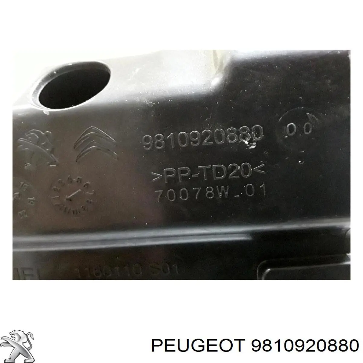 Resonador del filtro de aire Peugeot/Citroen 9810920880 precio, desde 56,49 EUR