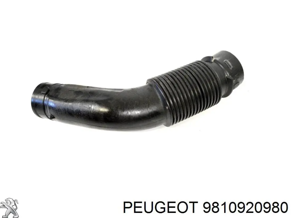 9810920980 Peugeot/Citroen Tubo flexible de aspiración, filtro de aire