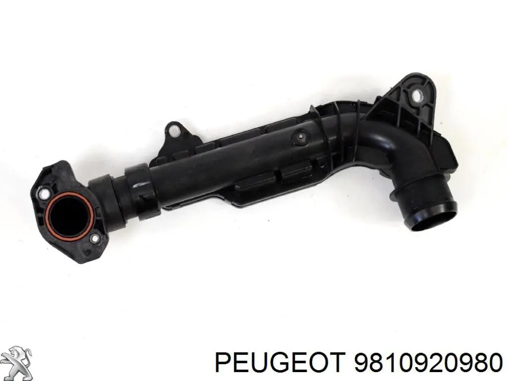 Comprar 9810920980 Peugeot/Citroen Tubo flexible de aspiración