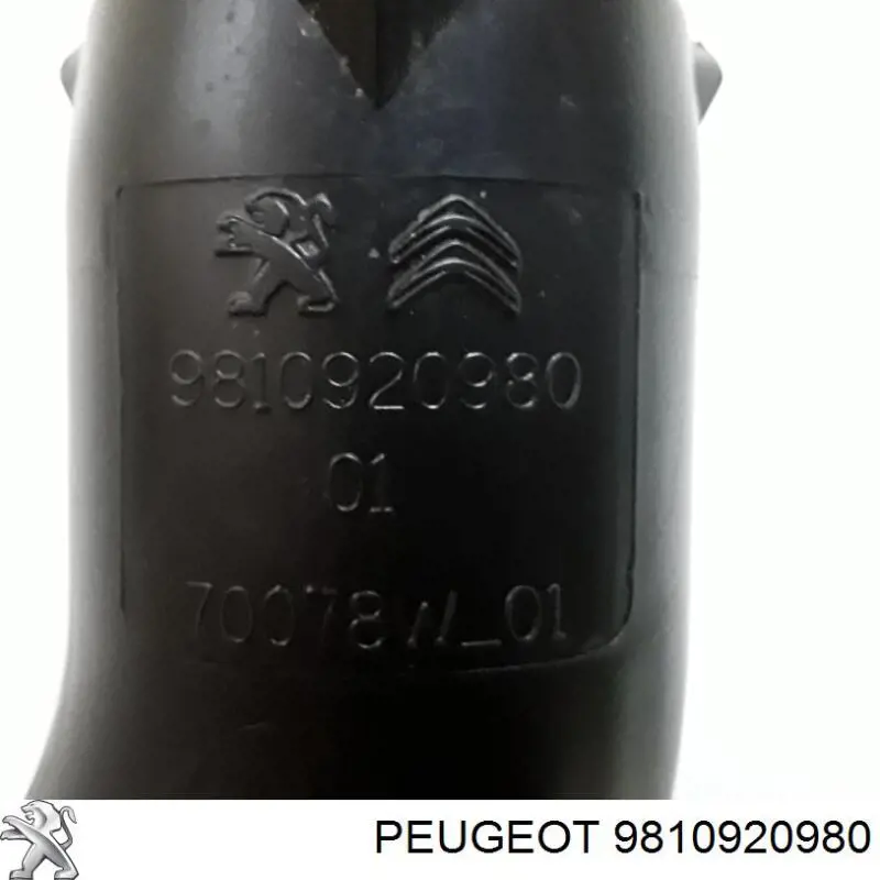 9810920980 Peugeot/Citroen tubo flexible de aspiración, entrada del filtro de aire