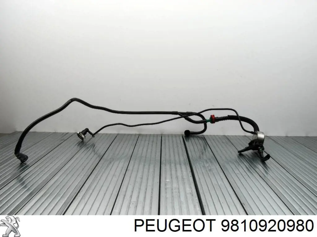 Tubo de admisión de aire, entrada del filtro de aire Peugeot/Citroen 9810920980 precio, desde 46,46 EUR