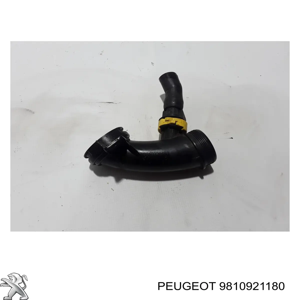 Conducto de aire, salida del filtro de aire Peugeot/Citroen 9810921180 precio, desde 53,72 EUR