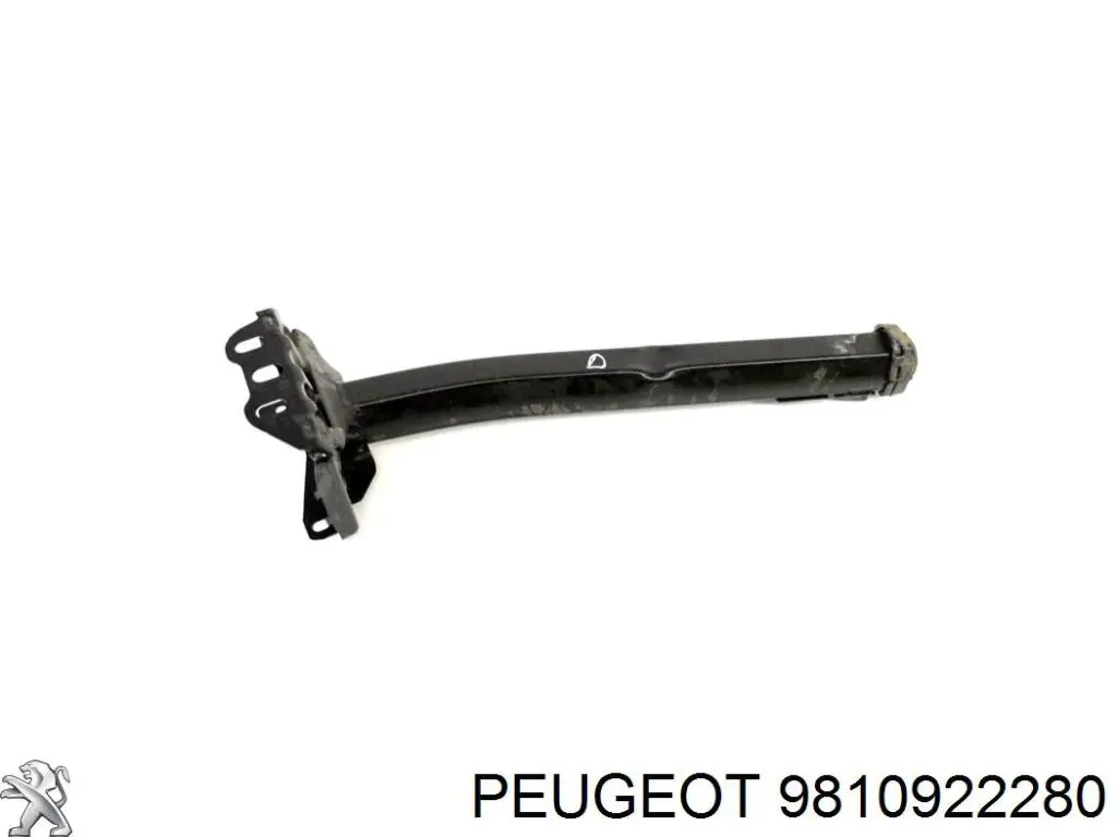 9810922280 Peugeot/Citroen Revestimiento frontal inferior