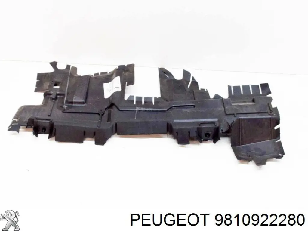 Comprar 9810922280 Peugeot/Citroen Soporte inferior del radiador (panel de montaje de faros)