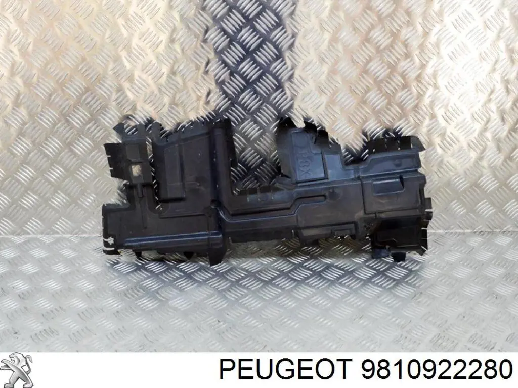 9810922280 Peugeot/Citroen Revestimiento frontal inferior