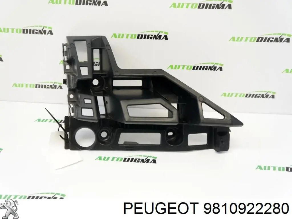 9810922280 Peugeot/Citroen