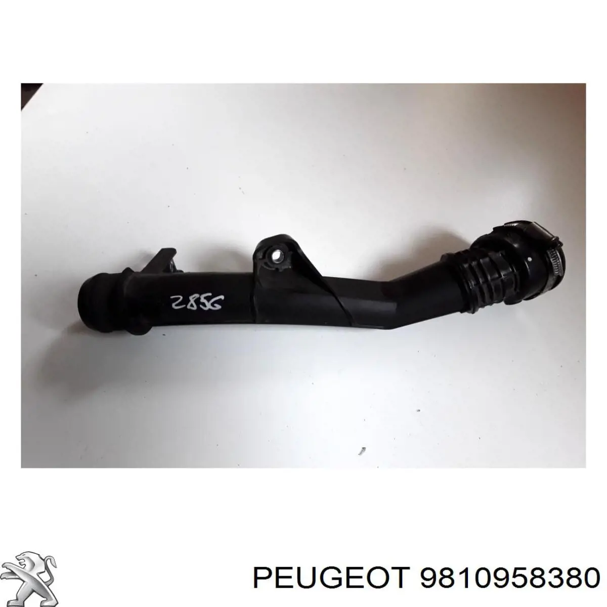 Manguera del intercooler Peugeot/Citroen 9810958380 precio, desde 47,92 EUR