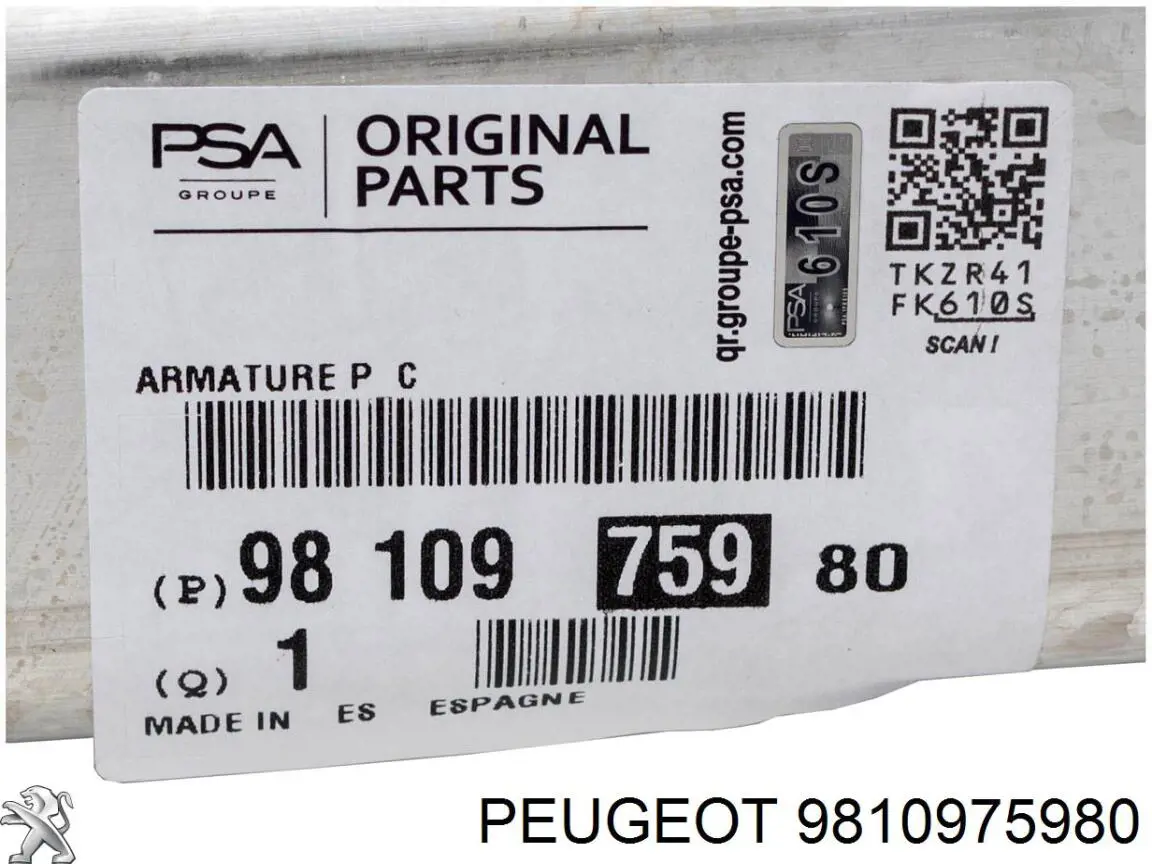 9810975980 Peugeot/Citroen