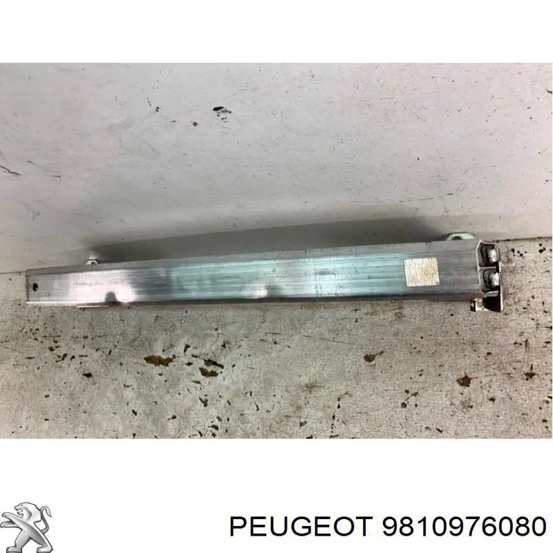 9810976080 Peugeot/Citroen