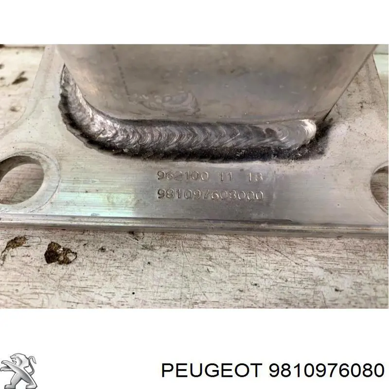 Refuerzo de parachoques delantero Peugeot/Citroen 9810976080 precio, desde 211,99 EUR
