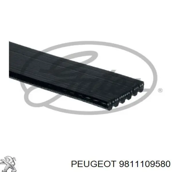 9811109580 Peugeot/Citroen correa trapezoidal