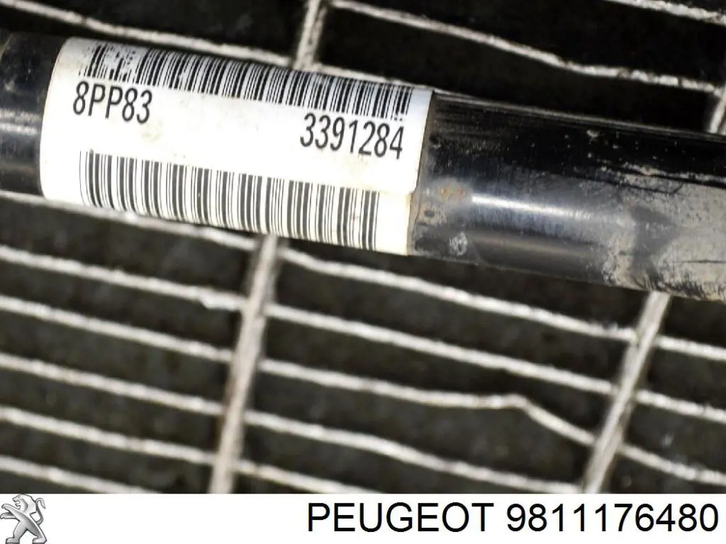 9811176480 Peugeot/Citroen Semieje delantero derecho