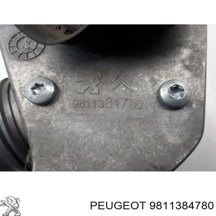 9811384780 Peugeot/Citroen Sensor de flujo de aire