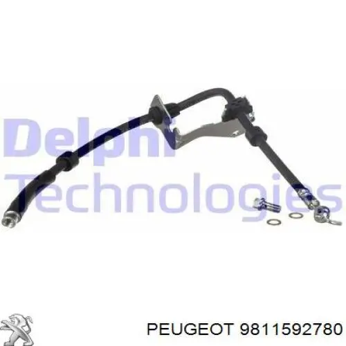 Comprar 49106748 Corteco Latiguillos de freno trasero derecho