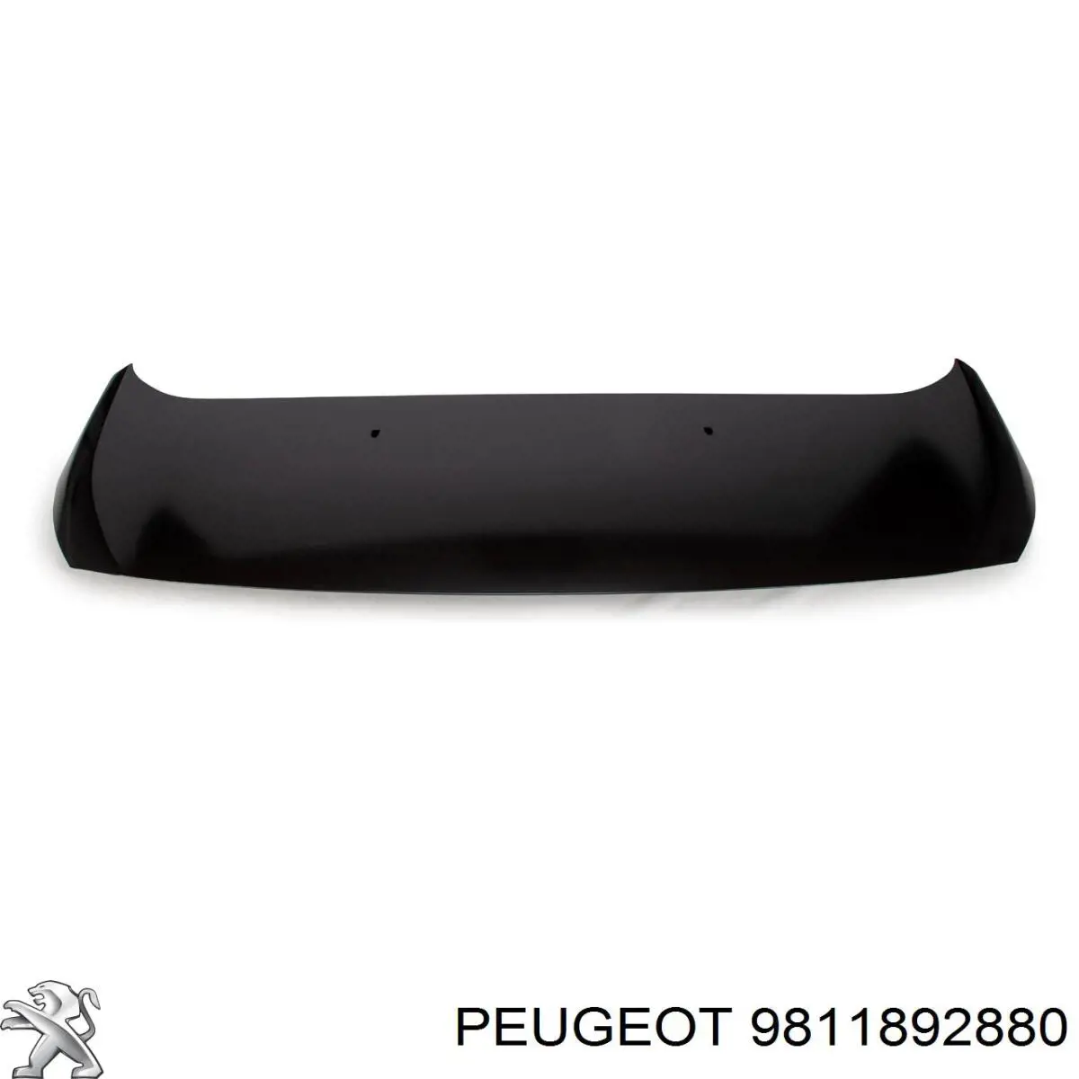 9811892880 Peugeot/Citroen