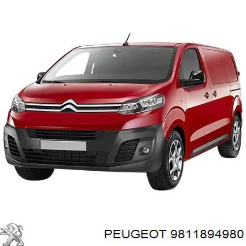 9811894980 Peugeot/Citroen