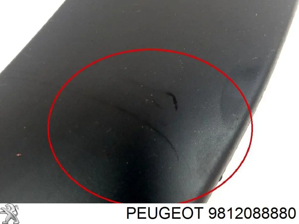 Extensión de la aleta trasera izquierda Peugeot/Citroen 9812088880 precio, desde 46,46 EUR