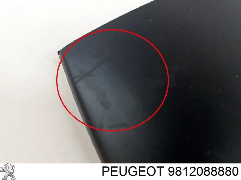 Extensión de la aleta trasera izquierda 9812088880 Peugeot/Citroen