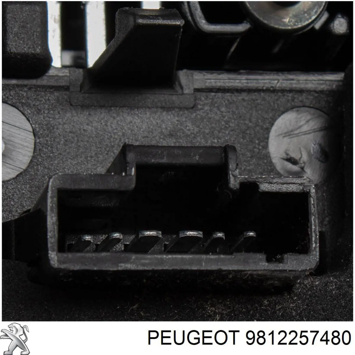 9812257480 Peugeot/Citroen piloto posterior derecho