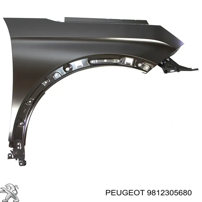 Aleta 9812305680 Peugeot/Citroen