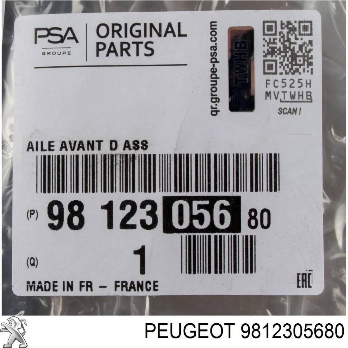 9812305680 Peugeot/Citroen Aleta delantera