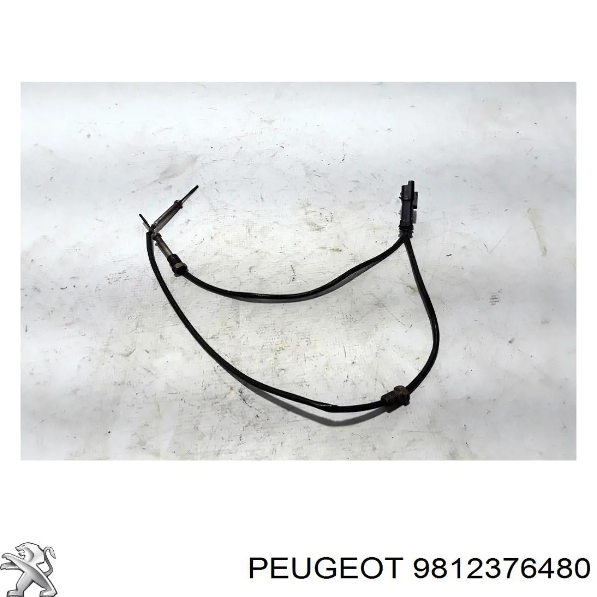 9812376480 Peugeot/Citroen Sensor de temperatura de gases de escape antes del filtro de partículas