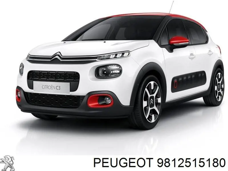 9812515180 Peugeot/Citroen