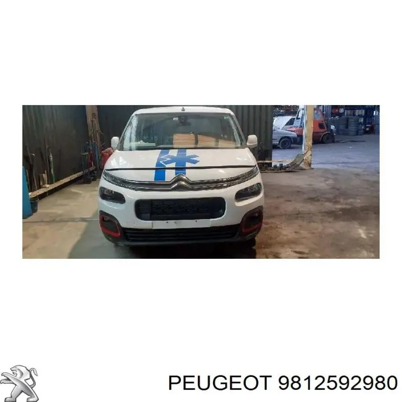 9812592980 Peugeot/Citroen