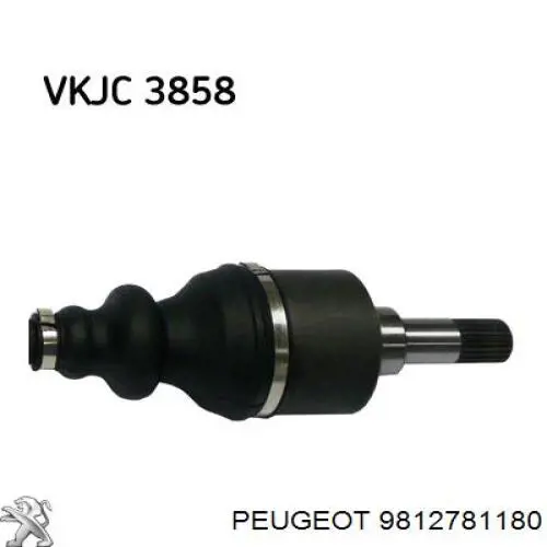  Peugeot/Citroen 9812781180 precio, desde 69,70 EUR