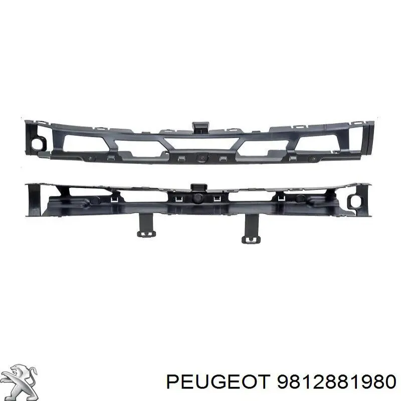 9812881980 Peugeot/Citroen