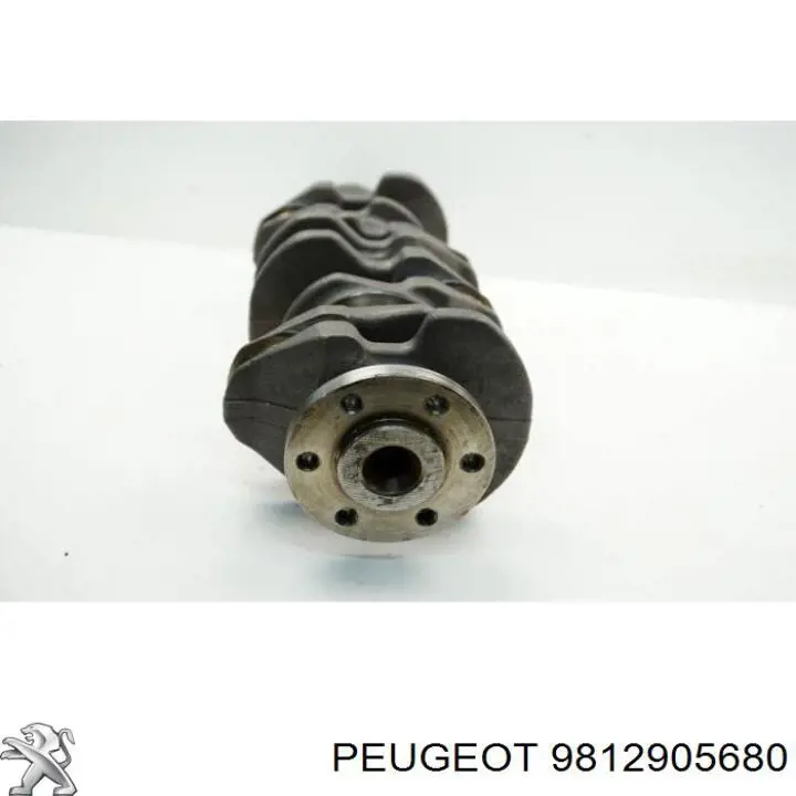 Cigüeñal Peugeot/Citroen 9812905680 precio, desde 360,10 EUR