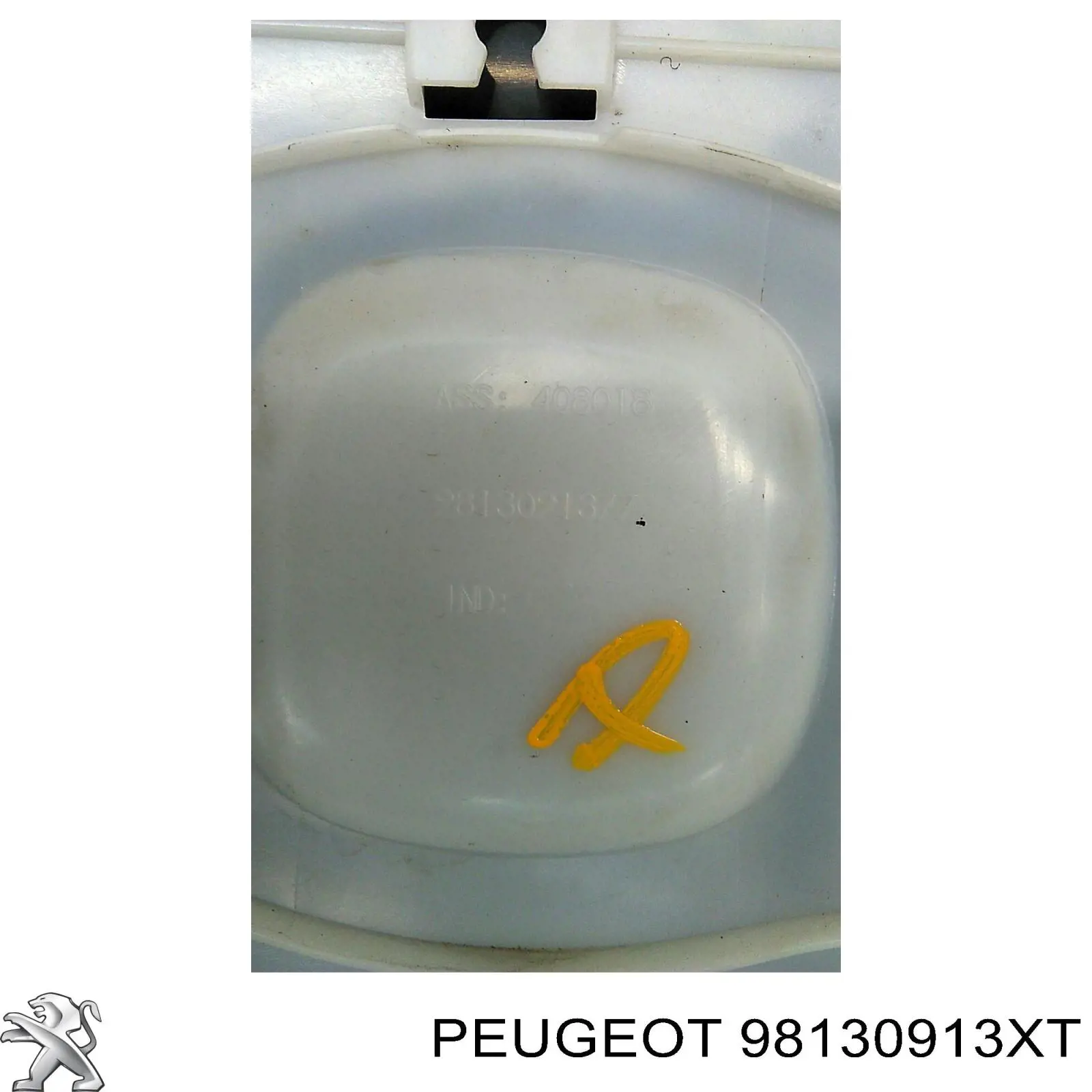 Comprar 98130913XT Peugeot/Citroen Moldura de puerta delantera izquierda