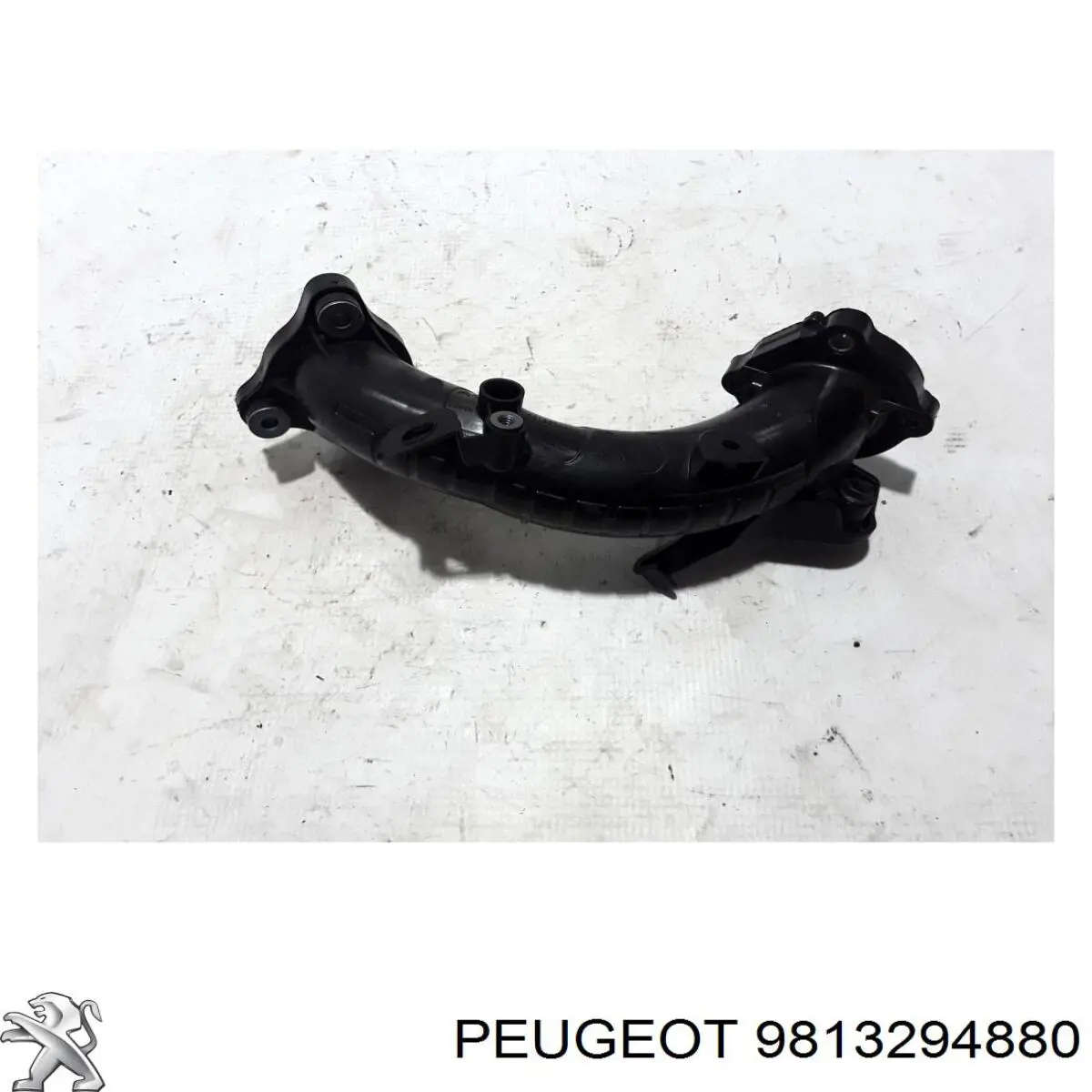 9813294880 Peugeot/Citroen tubo flexible de aspiración, cuerpo mariposa