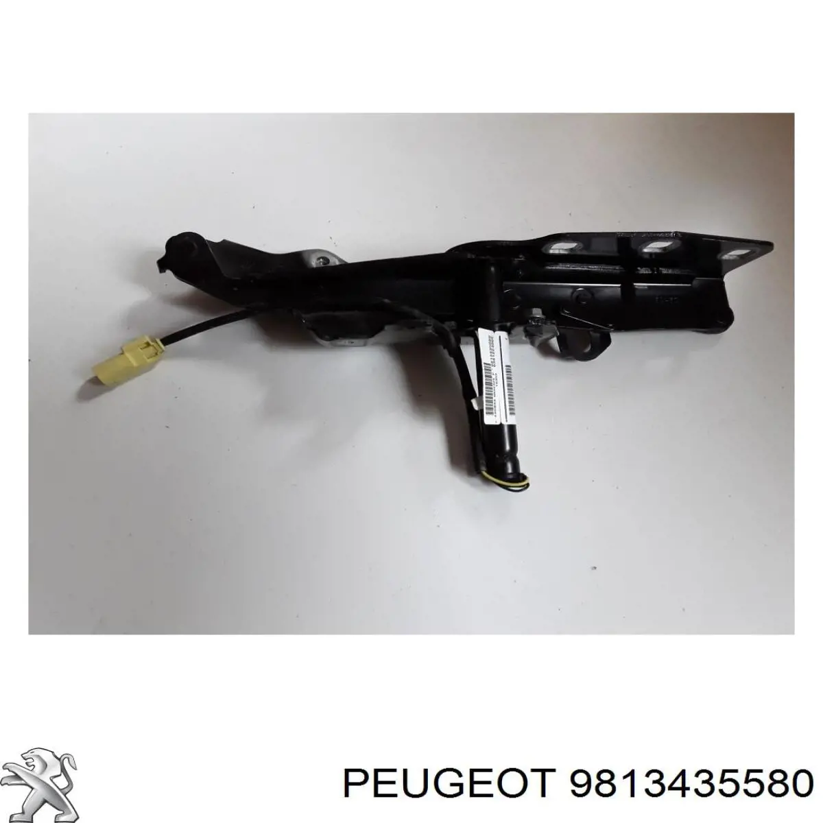 9813435580 Peugeot/Citroen 