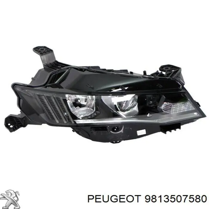 9813507580 Peugeot/Citroen Luz derecha