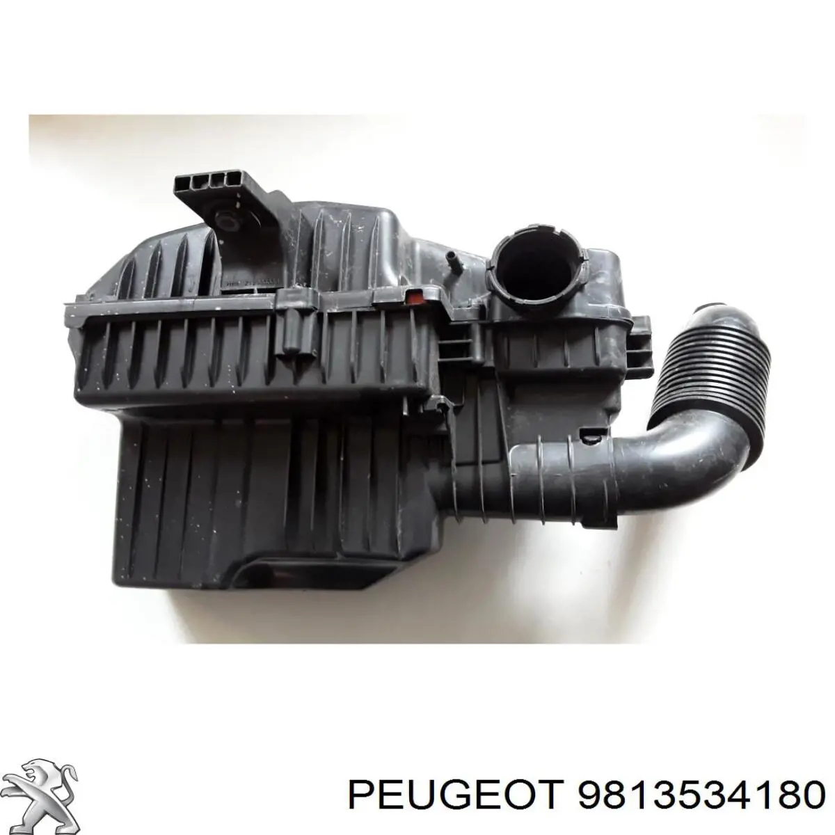 9817014180 Peugeot/Citroen 
