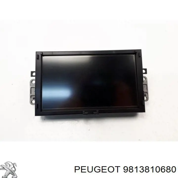Comprar 9813810680 Peugeot/Citroen 