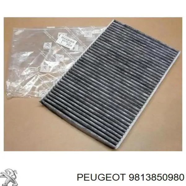 9813850980 Peugeot/Citroen Tapón de llenado de AdBlue