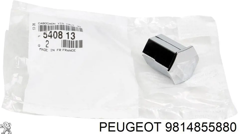 Junta de puerta delantera (en la carrocería) 9814855880 Peugeot/Citroen