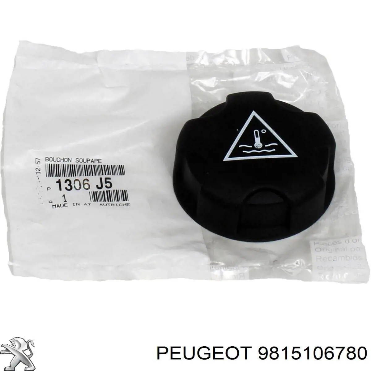 9815106780 Peugeot/Citroen Filtro antipolen