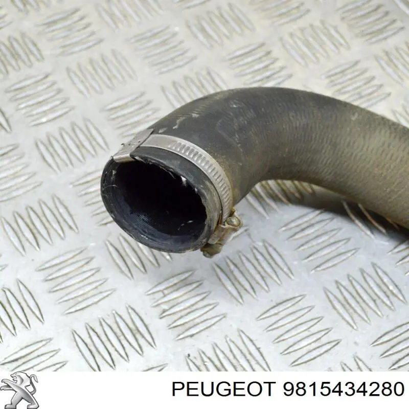 Tubo intercooler 9815434280 Peugeot/Citroen