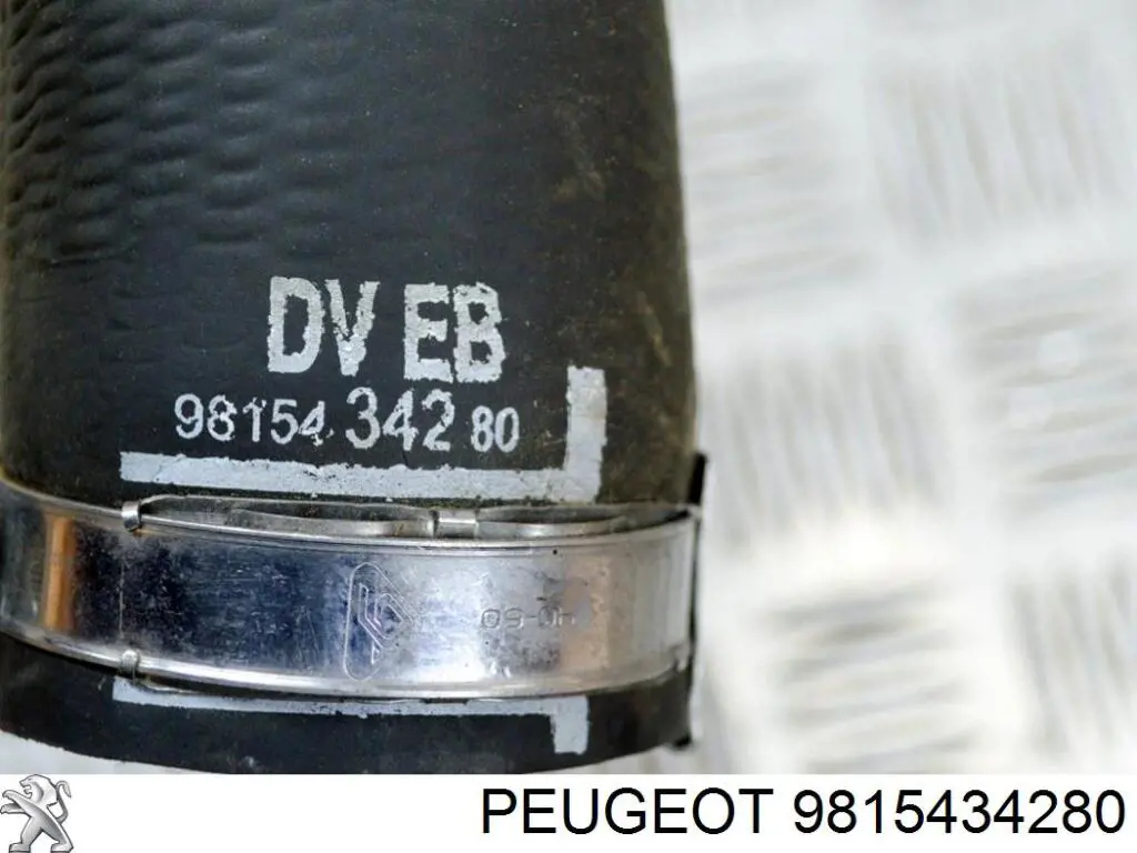 9815434280 Peugeot/Citroen Manguera del intercooler