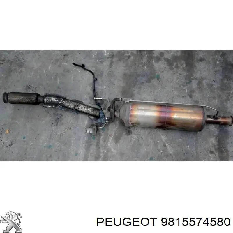 3644521 Peugeot/Citroen catalizador