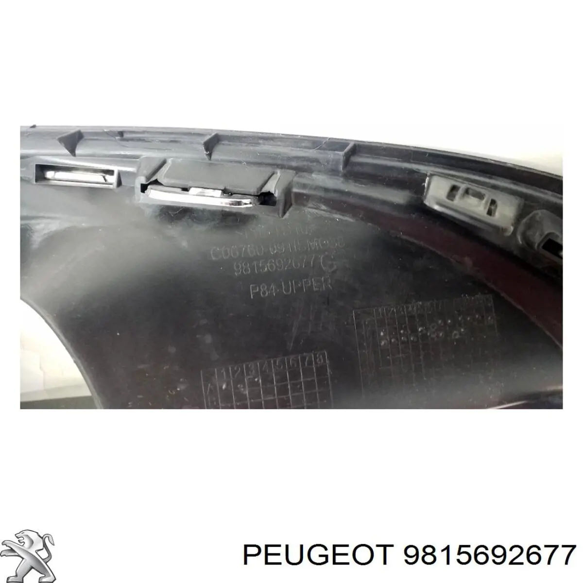 9815692677 Peugeot/Citroen