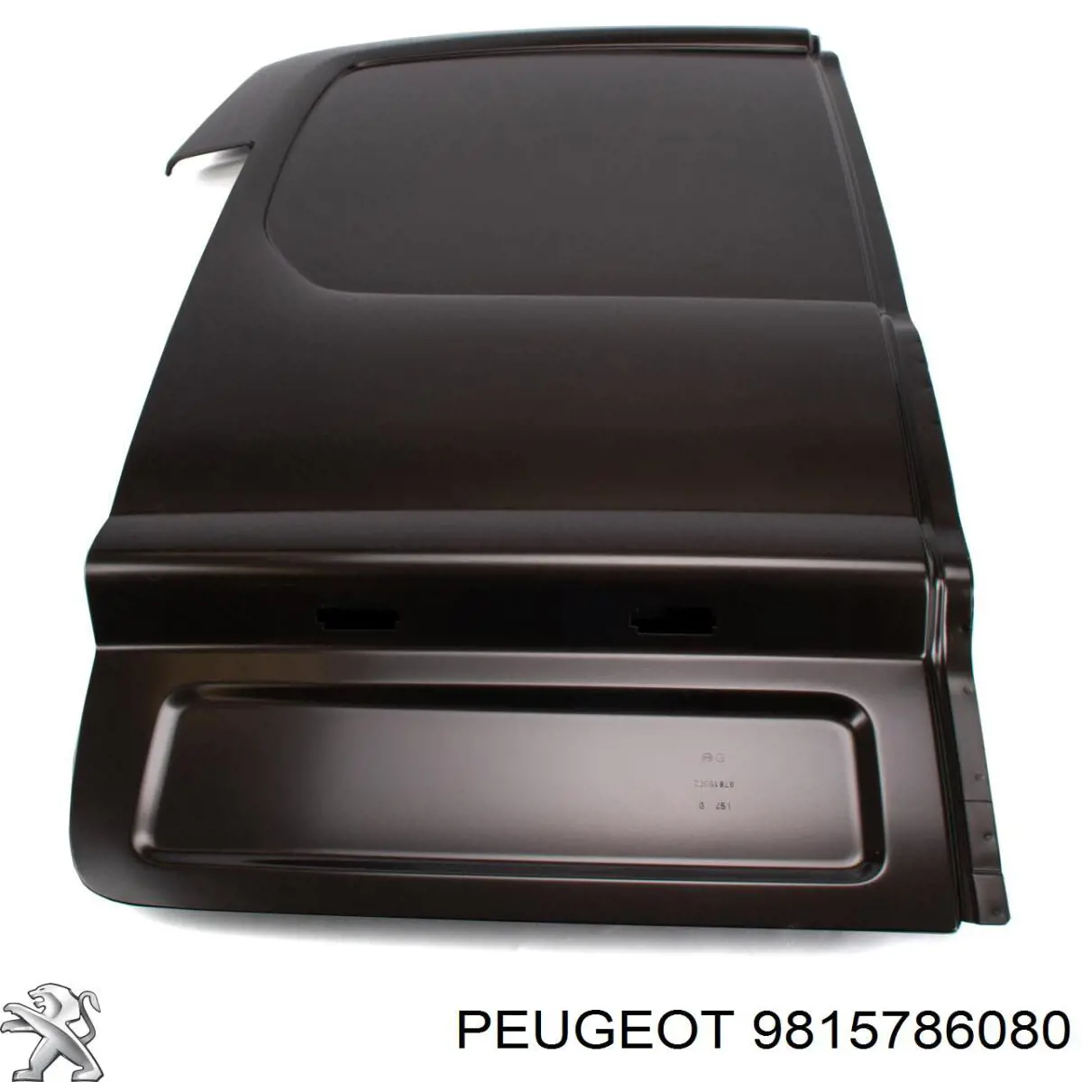 9815786080 Peugeot/Citroen
