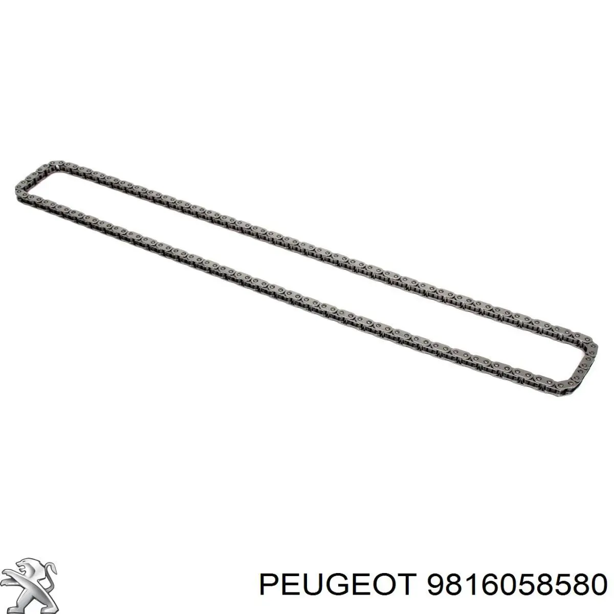 Tensor de cadena de distribución Peugeot/Citroen 9816058580 precio, desde 33,22 EUR