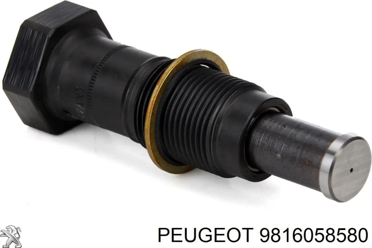 9816058580 Peugeot/Citroen Tensor de cadena de distribución